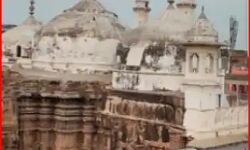 ज्ञानवापी मस्जिद सर्वे-मुनव्वर राणा ने मुस्लिम पक्ष को बक डाली गालियां ज्ञानवापी मस्जिद सर्वे-मुनव्वर राणा ने मुस्लिम पक्ष को बक डाली गालियां