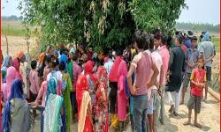 पशु चराने गए वृद्ध को बाघ ने बनाया अपना निवाला- गांव में मचा हड़कंप