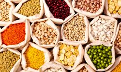 मूंग में गिरावट, चना कांटा, मसूर महंगा, दालों में घटबढ़ मूंग में गिरावट, चना कांटा, मसूर महंगा, दालों में घटबढ़