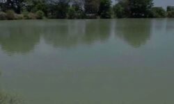 तीन युवकों की नहाते वक्त डूबने से हुई मौत- परिवार में मचा कोहराम