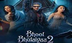 कार्तिक आर्यन की फिल्म भूल भुलैया2 ने वीकेंड में 56 करोड़ की कमाई की कार्तिक आर्यन की फिल्म भूल भुलैया2 ने वीकेंड में 56 करोड़ की कमाई की