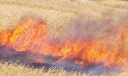 पेट्रोल पंप के बगल में रखी तूरी में भीषण आग लगने से मची अफरा-तफरी पेट्रोल पंप के बगल में रखी तूरी में भीषण आग लगने से मची अफरा-तफरी