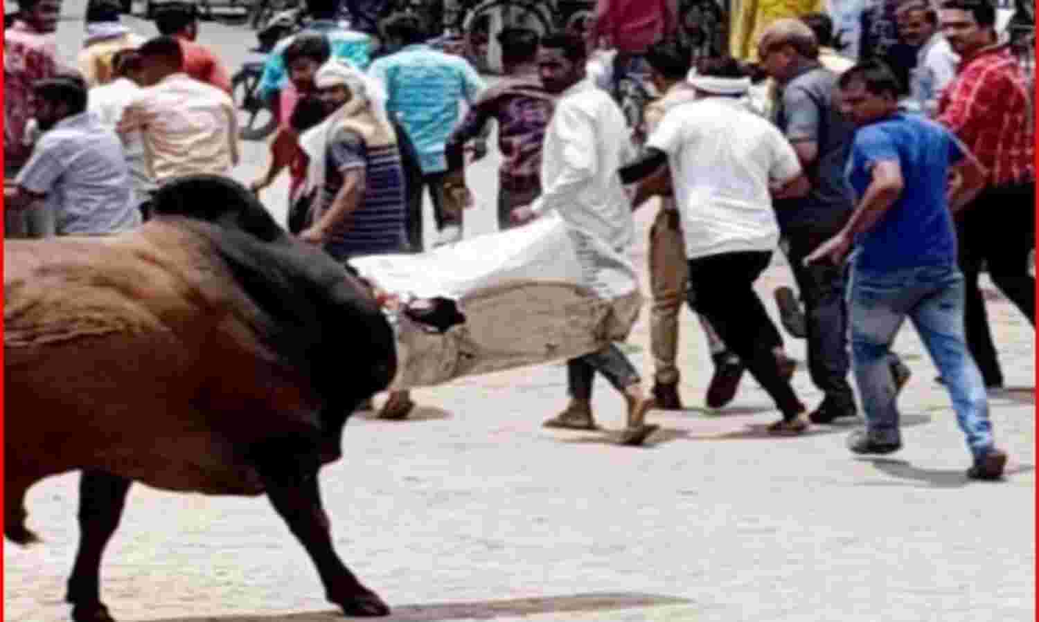 आवारा सांड की हरकत से मची भगदड़- अटकी रह गई लोगों की सांसे