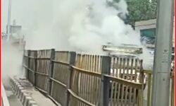 भैंस लदे छोटा हाथी में सड़क पर लगी आग-ड्राइवर ने कूदकर बचाई जान