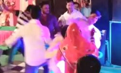 महिला को साथ लेकर डांस करने आया शख्स- टक्कर लगने के बाद हुई हाथापाई महिला को साथ लेकर डांस करने आया शख्स- टक्कर लगने के बाद हुई हाथापाई