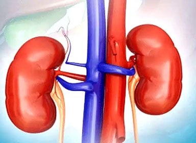 प्रेम हो तो ऐसा- पति की जान बचाने के लिये पत्नि ने दान कर दी किडनी