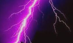 बिजली गिरने से 3 की हुई मौत- घायलों को कराया गया हॉस्पिटल में एडमिट बिजली गिरने से 3 की हुई मौत- घायलों को कराया गया हॉस्पिटल में एडमिट