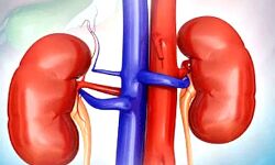 प्रेम हो तो ऐसा- पति की जान बचाने के लिये पत्नि ने दान कर दी किडनी