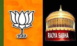 BJP ने राज्यसभा के द्विवार्षिक चुनाव के लिये की उम्मीदवारों की घोषणा BJP ने राज्यसभा के द्विवार्षिक चुनाव के लिये की उम्मीदवारों की घोषणा