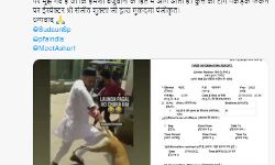 कुत्ते के साथ क्रूरता करना पड़ा महंगा- मुकदमा दर्ज कुत्ते के साथ क्रूरता करना पड़ा महंगा- मुकदमा दर्ज