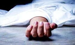 जंगली कुत्तों का दो बच्चों पर हमला- एक की मौत, दूसरा मेरठ रेफर जंगली कुत्तों का दो बच्चों पर हमला- एक की मौत, दूसरा मेरठ रेफर