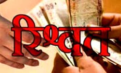 छापेमारी कर आपूर्ति पदाधिकारी को रिश्वत लेते धर दबोचा छापेमारी कर आपूर्ति पदाधिकारी को रिश्वत लेते धर दबोचा