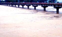 नदी में नहाते डूबे भाई-बहन की मौत