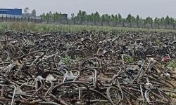 लॉकडाउन में मजदूरों से छीनी साइकिल लावारिस घोषित- हुई नीलाम