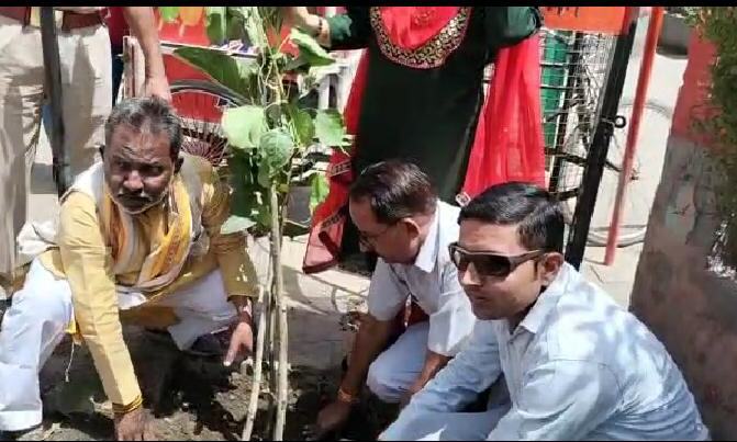 हरिशंकरी वृक्ष लगाकर दिया सर्वधर्म एवं सर्व समाज एकता का संदेश
