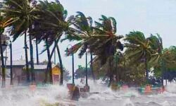 भारी बारिश और तूफान के बाद बिजली हुई गुल भारी बारिश और तूफान के बाद बिजली हुई गुल