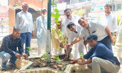 समाजसेवी मनीष ने पार्क में पौधे लगाकर दिया पर्यावरण संरक्षण का संदेश समाजसेवी मनीष ने पार्क में पौधे लगाकर दिया पर्यावरण संरक्षण का संदेश