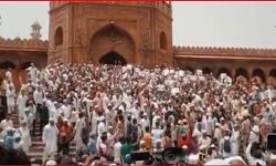 जामा मस्जिद के बाहर प्रदर्शन पर बोले इमाम, यह है ओवैसी के लोग जामा मस्जिद के बाहर प्रदर्शन पर बोले इमाम, यह है ओवैसी के लोग