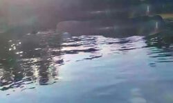 जिले में तालाब में डूब जाने से तीन बच्चों की मौत जिले में तालाब में डूब जाने से तीन बच्चों की मौत