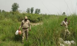 घंटों तक छानी जंगलों की खाक, तब लगी 25 लीटर कच्ची दारू हाथ घंटों तक छानी जंगलों की खाक, तब लगी 25 लीटर कच्ची दारू हाथ