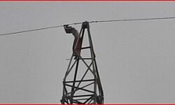हाईटेंशन लाइन के टावर पर चढ़ी लडकी,बिजली विभाग ने काटी लाइन