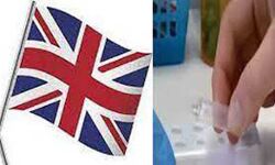 मंकीपॉक्स के 104 नए मामले मंकीपॉक्स के 104 नए मामले