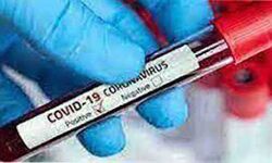 कोरोना के 1885 नए मामले, दो की मौत