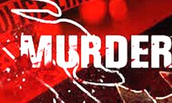 बेरहम भाई: जमीनी विवाद में धारदार हथियार से प्रहार कर की हत्या