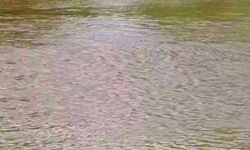 जिले में टैंक में डूबने से चार लड़कों की मौत