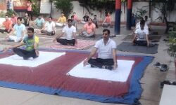 पुलिसकर्मियों को योग कराकर सीओ ने दिया निरोगी रहने का संदेश पुलिसकर्मियों को योग कराकर सीओ ने दिया निरोगी रहने का संदेश