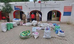 नकली उत्पाद के साथ दो आरोपी अरेस्ट- पुलिस ने भेजा कारागार नकली उत्पाद के साथ दो आरोपी अरेस्ट- पुलिस ने भेजा कारागार