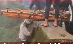 बंदर को चिप्स खिलाते समय किस्मत दे गई दगा- इतनी गहरी खाई में गिरा