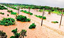 प्रदेश में मानसून घटना में मरने वालों की संख्या बढ़कर 15 हुई