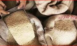 योगी सरकार का बड़ा फैसला- इतने महीने तक मिलता रहेगा मुफ्त राशन योगी सरकार का बड़ा फैसला- इतने महीने तक मिलता रहेगा मुफ्त राशन