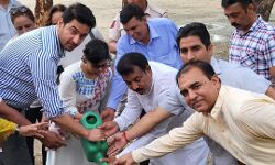 कलेक्टर के साथ मिलकर मुस्लिम पसमांदा महाज के सलीम ने किया वृक्षारोपण कलेक्टर के साथ मिलकर मुस्लिम पसमांदा महाज के सलीम ने किया वृक्षारोपण