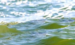 तालाब में डूबने से दो मासूमों की मौत तालाब में डूबने से दो मासूमों की मौत