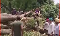 स्कूल में लंच टाइम में पेड़ के रूप में बच्चों पर गिरी आफत,छात्रा की मौत स्कूल में लंच टाइम में पेड़ के रूप में बच्चों पर गिरी आफत,छात्रा की मौत