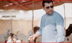 विकेटकीपर बल्लेबाज के घर से चोरी हुआ बकरा- ईद पर देनी थी कुर्बानी