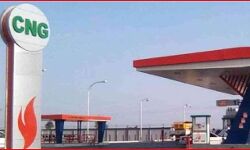 CNG के दामों ने डीजल को पछाड़ा,  PNG के भी बढ़ गए रेट