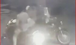 नकदी के चक्कर में कुत्ता ही लूट ले गए बदमाश- तमाचे जडकर छीना बैग