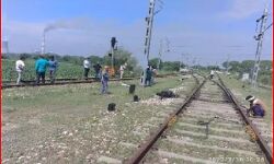 कायराना करतूत-पावर प्लांट के पास उखाडी रेलवे लाइन- मचा हड़कंप कायराना करतूत-पावर प्लांट के पास उखाडी रेलवे लाइन- मचा हड़कंप