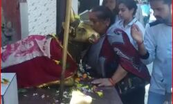 BSA ने जारी किया आदेश- सावन में हर सोमवार बंद रहेंगे स्कूल BSA ने जारी किया आदेश- सावन में हर सोमवार बंद रहेंगे स्कूल