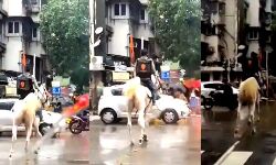 इस अंदाज में की डिलीवरी-स्विगी देगी नाम बताने वाले को हजारों का इनाम इस अंदाज में की डिलीवरी-स्विगी देगी नाम बताने वाले को हजारों का इनाम