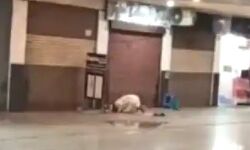 लुलू मॉल के बाद अब मेरठ के मॉल में नमाज पढे जाने का वीडियो वायरल लुलू मॉल के बाद अब मेरठ के मॉल में नमाज पढे जाने का वीडियो वायरल