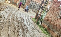 पालिका एवं सभासद की अनदेखी पड रही भारी, दलदल से गुजर रहे नर-नारी