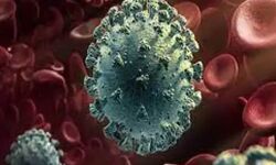 कोरोना बढ़ा रहा अपना दायरा-एसपी सिटी भी हुए कोरोना संक्रमित कोरोना बढ़ा रहा अपना दायरा-एसपी सिटी भी हुए कोरोना संक्रमित