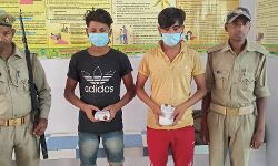 अवैध चरस के साथ बाबरी पुलिस ने दबोचे दो तस्कर