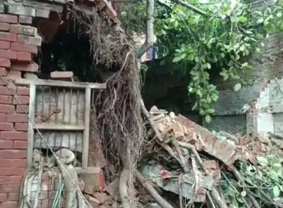बारिश की मार से बेहाल 100 साल पुराना 3 मंजिला मकान गिरा-पेड भी धराशाई