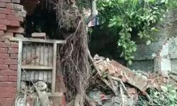 बारिश की मार से बेहाल 100 साल पुराना 3 मंजिला मकान गिरा-पेड भी धराशाई बारिश की मार से बेहाल 100 साल पुराना 3 मंजिला मकान गिरा-पेड भी धराशाई