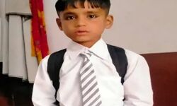 मौत के रुप में सीढियों पर बैठा सांप ऐसे ले गया 7 साल के बच्चे की जान